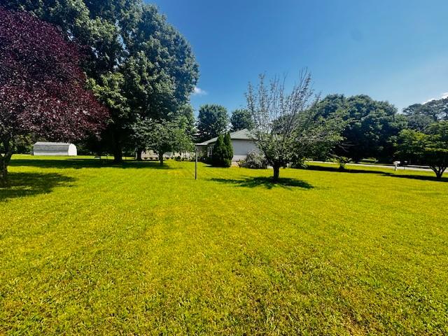 570 Gaines Cir, Estill Springs, TN 37330 - view of green lawn