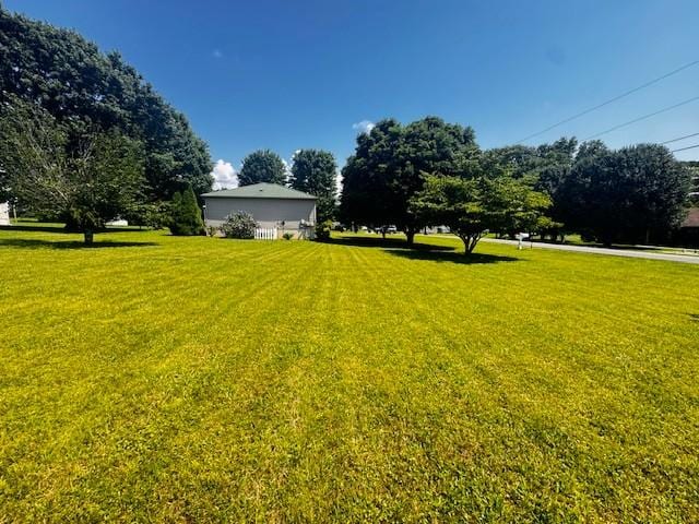 570 Gaines Cir, Estill Springs, TN 37330 - view of grassy yard