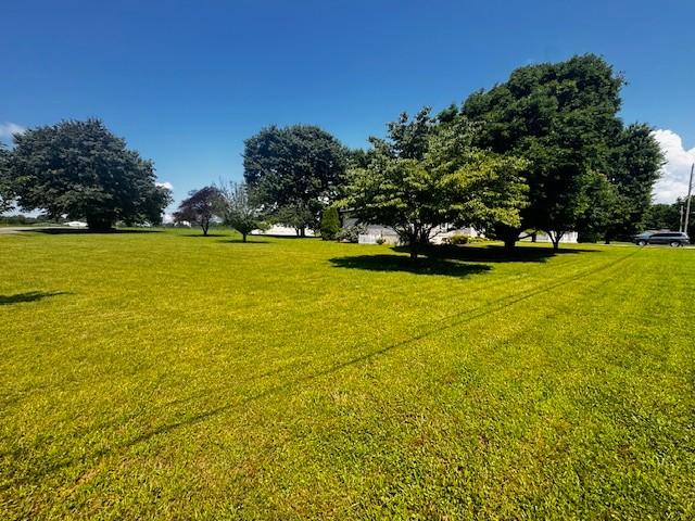 570 Gaines Cir, Estill Springs, TN 37330 - view of grassy yard
