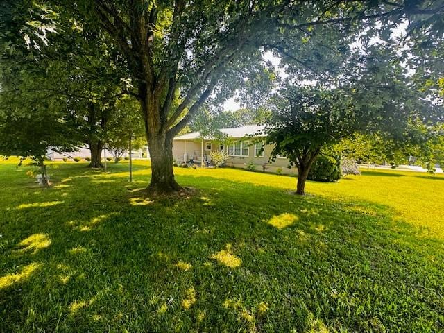 570 Gaines Cir, Estill Springs, TN 37330 - view of grassy yard