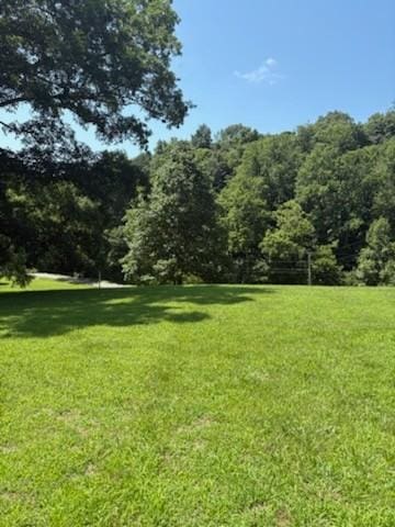 1134 Pee Dee Branch Rd, Cottontown, TN 37048 - view of home's community with a yard