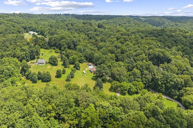1134 Pee Dee Branch Rd, Cottontown, TN 37048 - bird's eye view of a forest