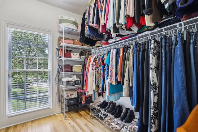 511 Derby Downs, Lebanon, TN 37087 - walk in closet with wood finished floors