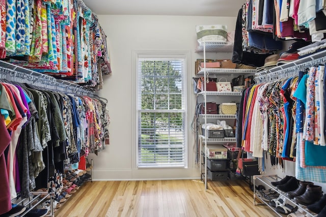 511 Derby Downs, Lebanon, TN 37087 - walk in closet featuring wood finished floors