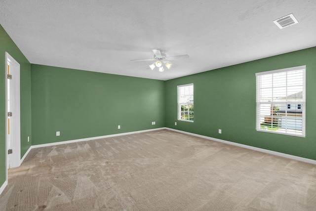 420 Creek Oak Dr, Murfreesboro, TN 37128 - photo 14