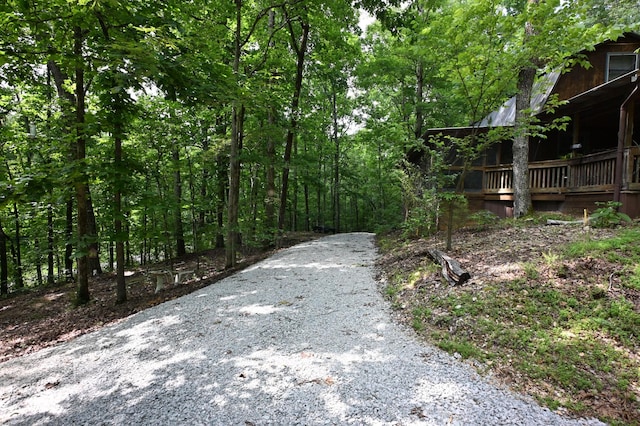 2664 Pineview Rd, Lobelville, TN 37097 - photo 20
