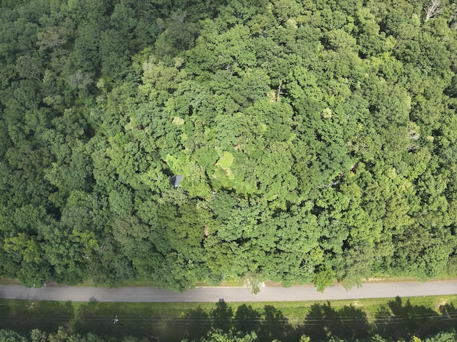 2664 Pineview Rd, Lobelville, TN 37097 - photo 10