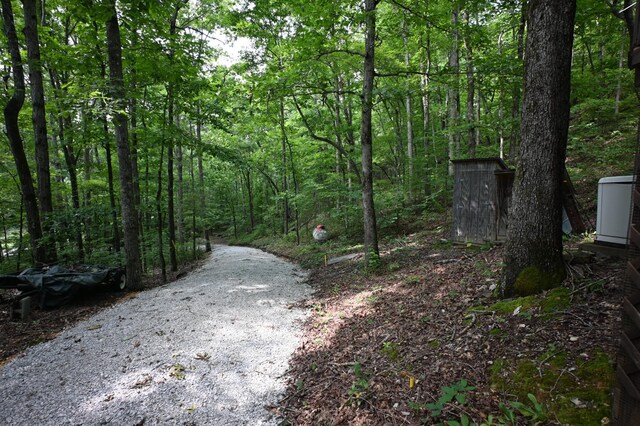 2664 Pineview Rd, Lobelville, TN 37097 - photo 21