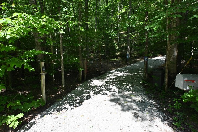 2664 Pineview Rd, Lobelville, TN 37097 - photo 28