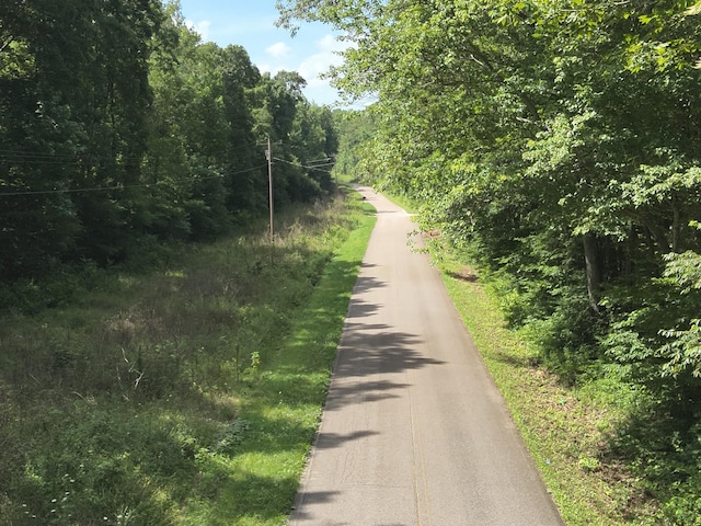 2664 Pineview Rd, Lobelville, TN 37097 - photo 12