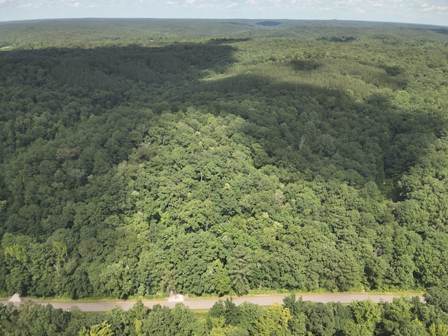 2664 Pineview Rd, Lobelville, TN 37097 - photo 9