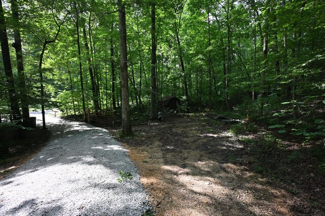 2664 Pineview Rd, Lobelville, TN 37097 - photo 23