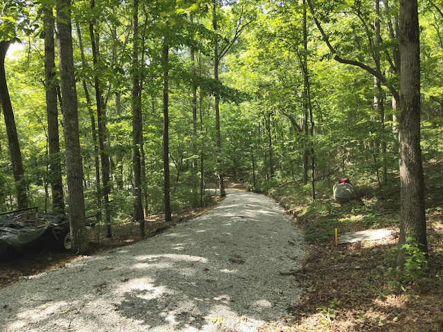 2664 Pineview Rd, Lobelville, TN 37097 - photo 6