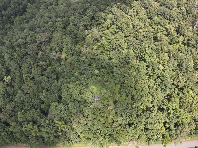 2664 Pineview Rd, Lobelville, TN 37097 - photo 11