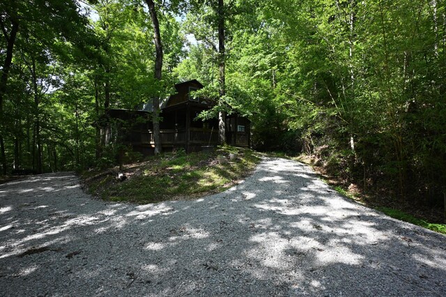 2664 Pineview Rd, Lobelville, TN 37097 - photo 32