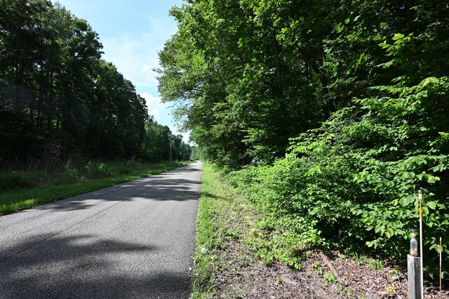 2664 Pineview Rd, Lobelville, TN 37097 - photo 27