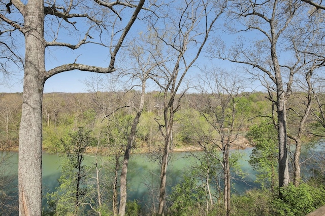 115 Cragfont Rd, Castalian Springs, TN 37031 - photo 1