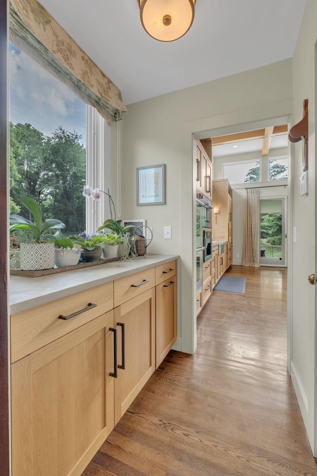 111 Hardingwoods Pl, Nashville, TN 37205 - hallway featuring healthy amount of natural light and light wood-style flooring