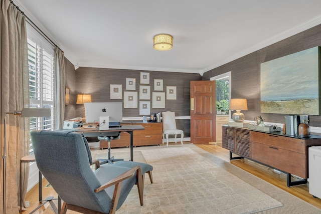 111 Hardingwoods Pl, Nashville, TN 37205 - home office featuring light wood finished floors and crown molding