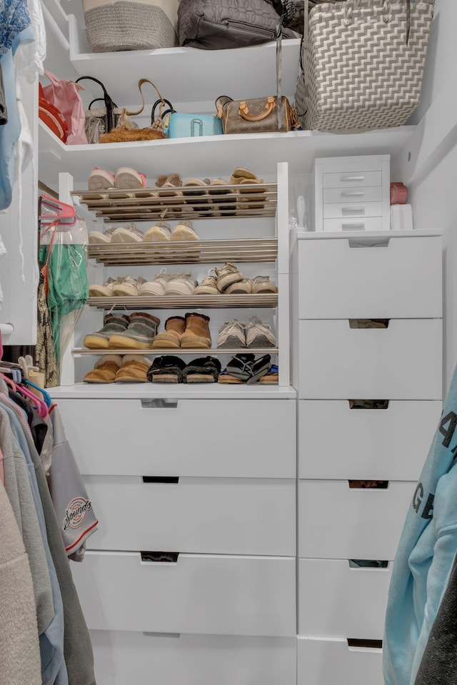111 Hardingwoods Pl, Nashville, TN 37205 - view of spacious closet