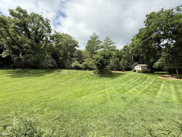 111 Hardingwoods Pl, Nashville, TN 37205 - view of green lawn featuring a storage shed
