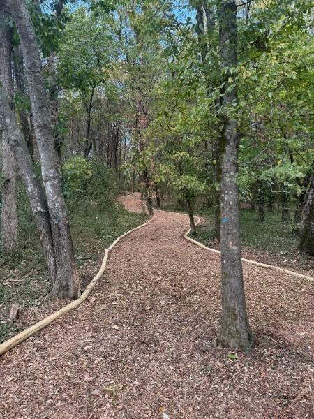 1042 Noble Loop Unit 31, Nashville, TN 37211 - surrounding community