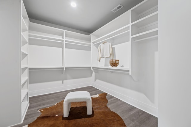 1042 Noble Loop Unit 31, Nashville, TN 37211 - walk in closet featuring wood finished floors