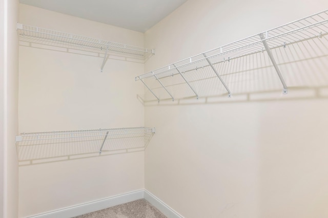 3319 Old Hickory Blvd Unit 17, Old Hickory, TN 37138 - spacious closet featuring carpet