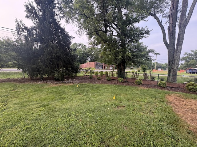 8827 Horton Hwy, College Grove, TN 37046 - view of yard