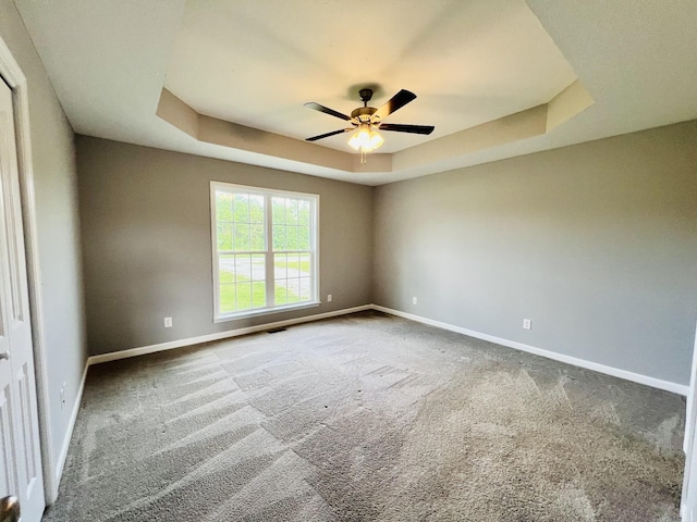 4977 Little Dry Creek Rd, Pulaski, TN 38478 - spare room featuring a raised ceiling, ceiling fan, and carpet