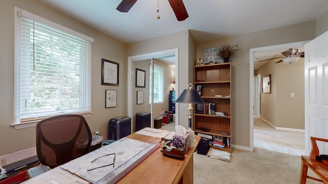 549 Maplegrove Dr, Franklin, TN 37064 - photo 27