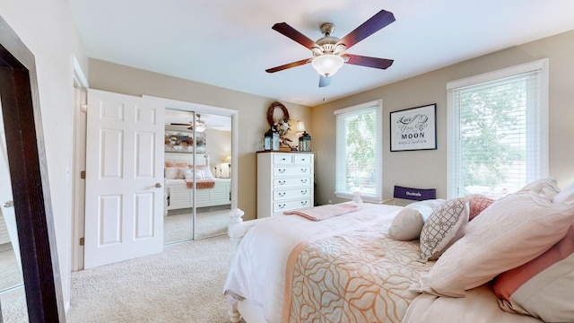 549 Maplegrove Dr, Franklin, TN 37064 - photo 30