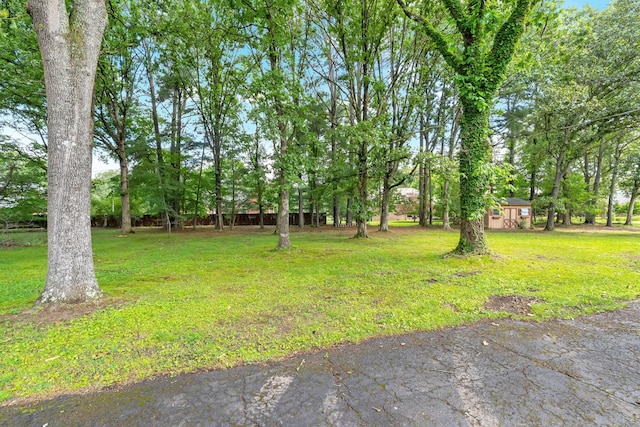 305 Twelve Oaks Rd, Tullahoma, TN 37388 - photo 4