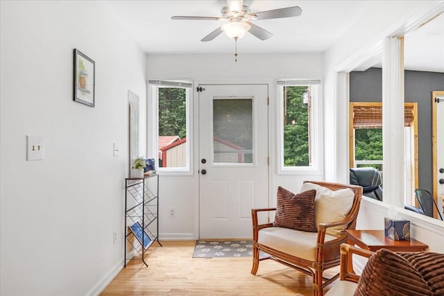 802 Evans Rd, Winchester, TN 37398 - foyer entrance with healthy amount of natural light, light wood finished floors, and ceiling fan