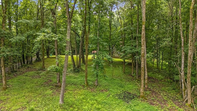 802 Evans Rd, Winchester, TN 37398 - view of local wilderness