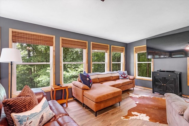 802 Evans Rd, Winchester, TN 37398 - living area featuring healthy amount of natural light and wood finished floors