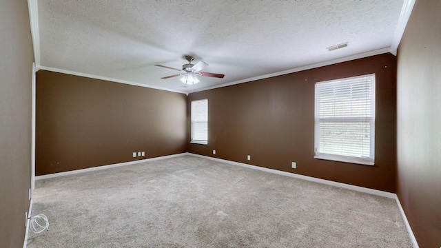 3664 Coles Branch Dr, Antioch, TN 37013 - photo 3