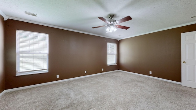 3664 Coles Branch Dr, Antioch, TN 37013 - photo 14