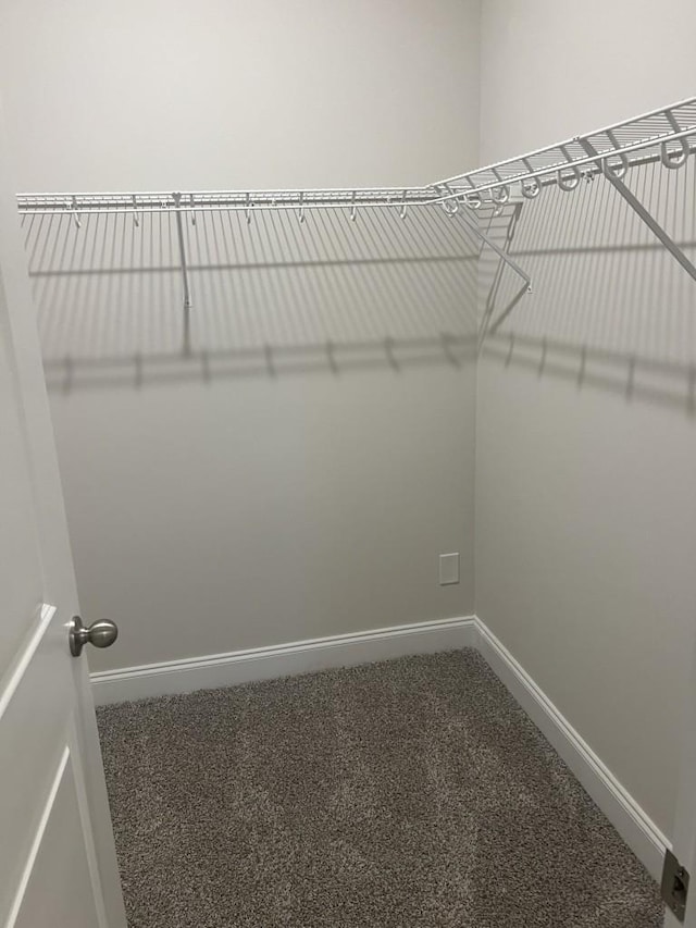 204 Douglas Bend Rd Unit 804, Gallatin, TN 37066 - spacious closet with carpet flooring