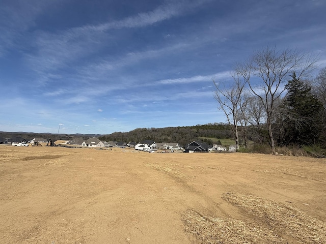 7262 Murrel Dr, Franklin, TN 37064 - view of road