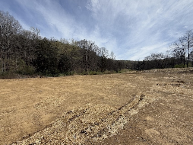 7262 Murrel Dr, Franklin, TN 37064 - view of wooded area