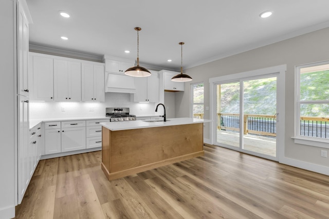 333 Isbill Rd, Chattanooga, TN 37419 - kitchen with stainless steel range, decorative backsplash, custom exhaust hood, light wood-style floors, and light countertops