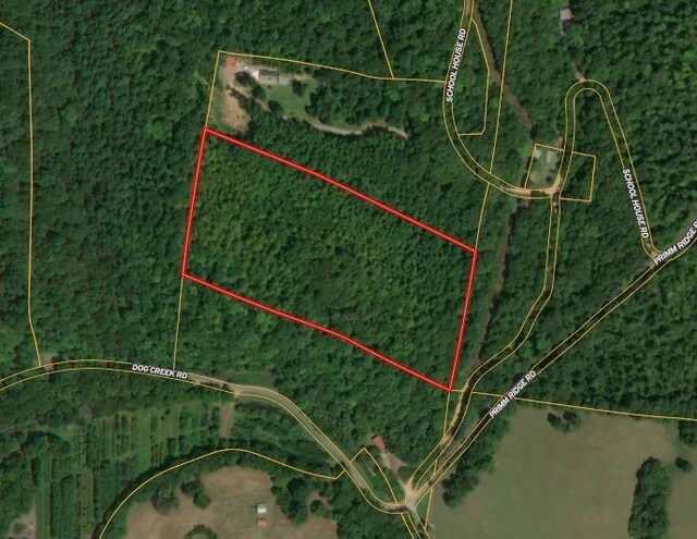 0 Dog Creek Rd, Primm Springs, TN 38476