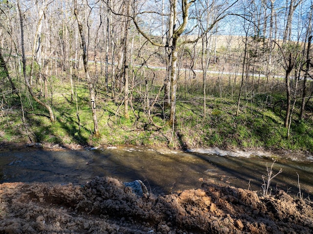 0 Dog Creek Rd, Primm Springs, TN 38476