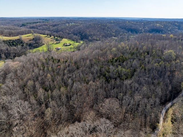 0 Dog Creek Rd, Primm Springs, TN 38476