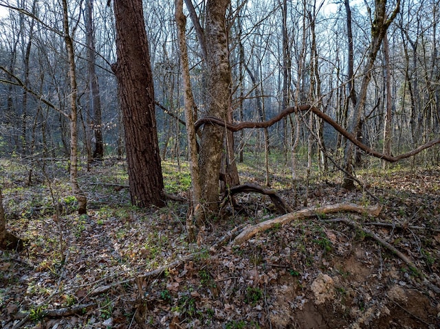 0 Dog Creek Rd, Primm Springs, TN 38476