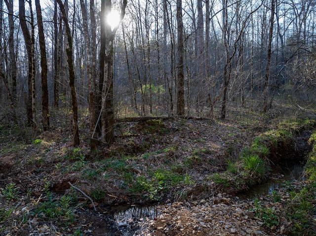 0 Dog Creek Rd, Primm Springs, TN 38476