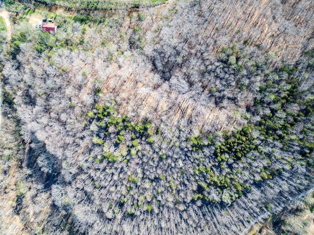 0 Dog Creek Rd, Primm Springs, TN 38476