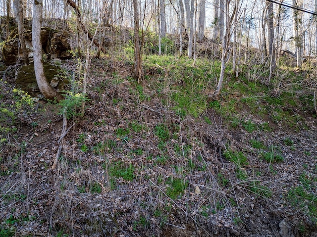 0 Dog Creek Rd, Primm Springs, TN 38476