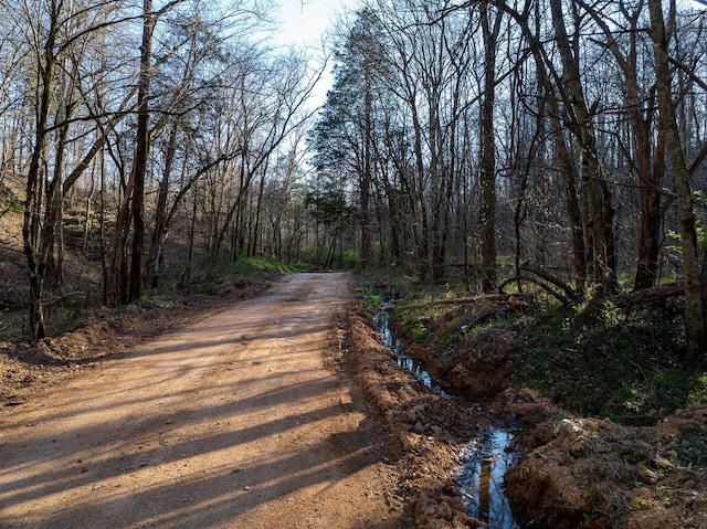 0 Dog Creek Rd, Primm Springs, TN 38476